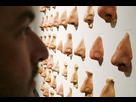 https://image.noelshack.com/minis/2024/02/1/1704744723-musee-juif-berlin-nez.png