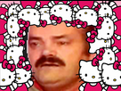 https://image.noelshack.com/fichiers/2024/03/2/1705404742-risitas-x-hellokitty-polluxies-1.png