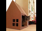 https://image.noelshack.com/minis/2024/03/5/1705651507-maison-en-carton-pour-chat-jolie-maison-de-chat-avec-grand-toit-triangulaire.png