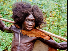 https://image.noelshack.com/fichiers/2024/03/6/1705783226-290px-homo-erectus-turkana-boy-ausschnitt-fundort-nariokotome-kenia-rekonstruktion-im-neanderthal-museum.jpeg