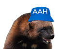 https://image.noelshack.com/minis/2024/03/7/1705854238-aah.png