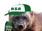 https://image.noelshack.com/minis/2024/03/7/1705855021-rsa.png