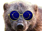 https://image.noelshack.com/fichiers/2024/03/7/1705855025-lunettes.png