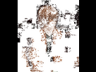 https://image.noelshack.com/minis/2024/05/4/1706785205-ezgif-3-f355f064c3.png