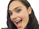 https://image.noelshack.com/fichiers/2024/05/5/1706834177-img-3224.png