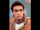 https://image.noelshack.com/fichiers/2024/05/6/1706942415-anthony-delon1.jpg