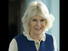 https://image.noelshack.com/fichiers/2024/06/1/1707157299-camilla-parker-bowles-quel-est-ce-membre-royal-qui-l-a-aide-a-reconquerir-le-coeur-des-britanniques.jpg