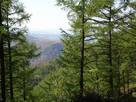 https://image.noelshack.com/fichiers/2024/06/3/1707326499-foret-1.jpg