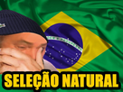 https://image.noelshack.com/fichiers/2024/06/5/1707494419-selecao-natural.png