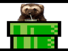 https://image.noelshack.com/minis/2024/06/6/1707591023-carcapipe.png