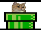 https://image.noelshack.com/minis/2024/06/6/1707591288-chatlaitpipe.png