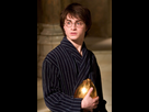 https://image.noelshack.com/fichiers/2024/06/7/1707662189-harry-in-robes-with-the-golden-egg-1050x0-c-default.jpg