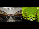 https://image.noelshack.com/fichiers/2024/06/7/1707663121-1517818637-996-inside-the-popes-reptilian-audience-hall-in-vatican-city.png