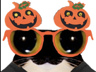 https://image.noelshack.com/fichiers/2024/07/1/1707728571-chatlunettehalloween.png