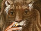 https://image.noelshack.com/fichiers/2024/07/2/1707851423-le-khey-lion-defonce.png