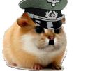 https://image.noelshack.com/fichiers/2024/07/4/1708004939-hamster-nazi.jpg