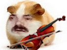 https://image.noelshack.com/fichiers/2024/07/4/1708005200-risitas-hamster-violon2.jpg