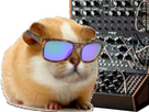 https://image.noelshack.com/fichiers/2024/07/5/1708094978-hamster-techno-moog.jpg