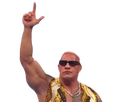 https://image.noelshack.com/fichiers/2024/07/6/1708145253-rockuce.png