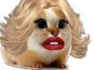 https://image.noelshack.com/fichiers/2024/07/6/1708172523-hamster-blonde.jpg