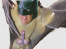 https://image.noelshack.com/fichiers/2024/07/7/1708223325-batdick.png