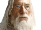 https://image.noelshack.com/fichiers/2024/07/7/1708248793-1592847989-gandalf-9.png