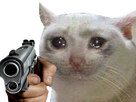 https://image.noelshack.com/fichiers/2024/08/3/1708543556-1.png