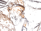 https://image.noelshack.com/minis/2024/10/2/1709594667-stare-staring.png
