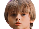 https://image.noelshack.com/fichiers/2024/11/1/1710173197-anakin-skywalker-ep1-3.png