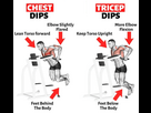 https://image.noelshack.com/fichiers/2024/11/2/1710240091-chest-dips-vs-triceps-dips.png