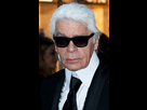 https://www.noelshack.com/2024-11-3-1710318210-karl-lagerfeld-2014.jpg