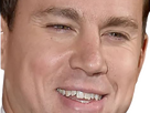 https://image.noelshack.com/fichiers/2024/11/3/1710324838-channing-tatum.png