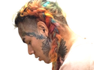 https://image.noelshack.com/fichiers/2024/11/4/1710393632-6ix9ine-el-desierto-de-sonora-contiene-gran-variedad-de-flora-y-fauna-endemicas.png