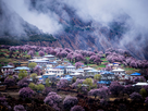 https://image.noelshack.com/minis/2024/11/5/1710535360-tibet-tourism-nyingchi.png