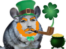 https://image.noelshack.com/fichiers/2024/11/7/1710689789-leprechaun-obese-de-mes-couilles2.png