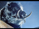 https://image.noelshack.com/fichiers/2024/11/7/1710702259-razorback-1984-01.jpg