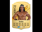 https://www.noelshack.com/2024-12-1-1710759051-snuka.jpg