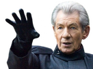 https://image.noelshack.com/fichiers/2024/12/2/1710802824-l1-ian-mckellen-magneto-4.png