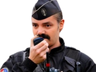 https://image.noelshack.com/fichiers/2024/12/4/1711040926-police-risitas-zoom-sticker.png