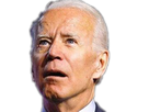 https://image.noelshack.com/fichiers/2024/12/6/1711177713-1608347387-biden-flip-miroir.png