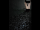 https://image.noelshack.com/minis/2024/12/6/1711229037-img-20231121-152543.png