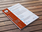 https://image.noelshack.com/fichiers/2024/13/6/1711775527-provide-professional-resume-cv-cover-letter-and-linkedin-writing-service.jpg