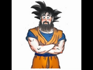 https://www.noelshack.com/2024-13-7-1711908192-hooper-goku.png