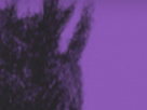 https://image.noelshack.com/fichiers/2024/14/1/1711996368-7-xe0rmqik.png