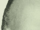 https://image.noelshack.com/fichiers/2024/14/1/1711996369-10-xe0rmqik.png