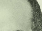 https://image.noelshack.com/fichiers/2024/14/1/1711996369-11-xe0rmqik.png