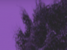 https://image.noelshack.com/fichiers/2024/14/1/1711996369-5-xe0rmqik.png