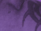 https://image.noelshack.com/fichiers/2024/14/1/1711996433-56-xe0rmqik.png