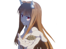 https://image.noelshack.com/fichiers/2024/14/2/1712013834-holoracket3.png