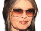 https://image.noelshack.com/minis/2024/14/2/1712093700-brigitte-bardot-1.png